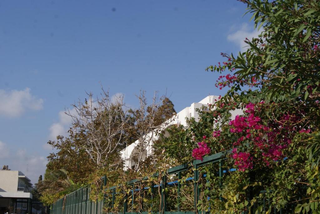 Thalassa Studios Faliraki Exterior photo