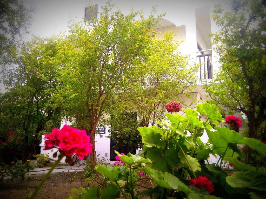 Thalassa Studios Faliraki Exterior photo